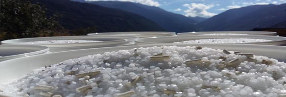 STANDARD ULTRA PLAST RANGE